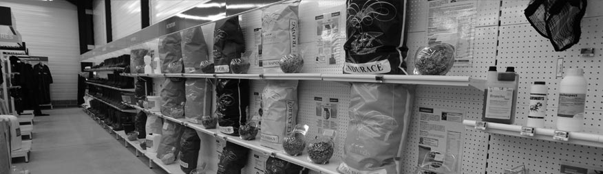 Magasins Equidéos à Loudéac et Erdre en Anjou Magasin de Loudéac et Erdre en Anjou de vente de matériels d'équitation