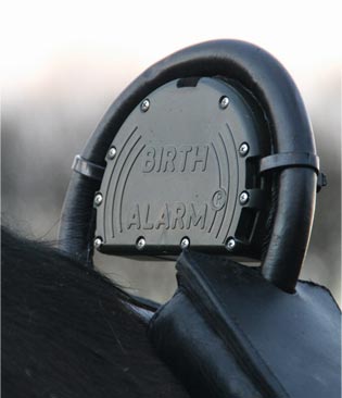 BIRTH ALARM : L'outil indispensable pour la surveillance de vos poulinières pendant la saison de poulinage BIRTH ALARM : L'outil indispensable pour la surveillance de vos poulinières pendant la saison de poulinage