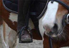 Comment réagir face à la gourme du cheval