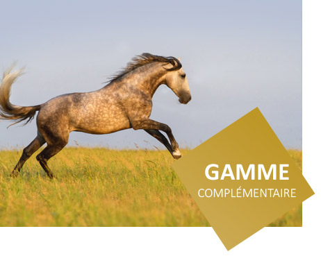 gamme d'aliments complémentaires pour chevaux