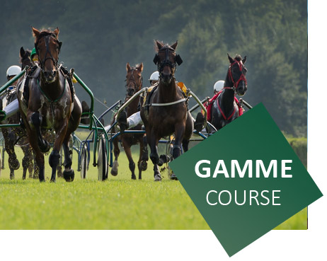 gamme d'aliments pour les chevaux de course