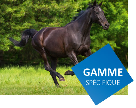 gamme d'aliments spécifiques pour des besoins nutritionnels des chevaux