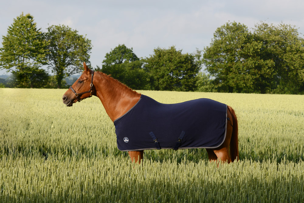 Chemises de box pour chevaux