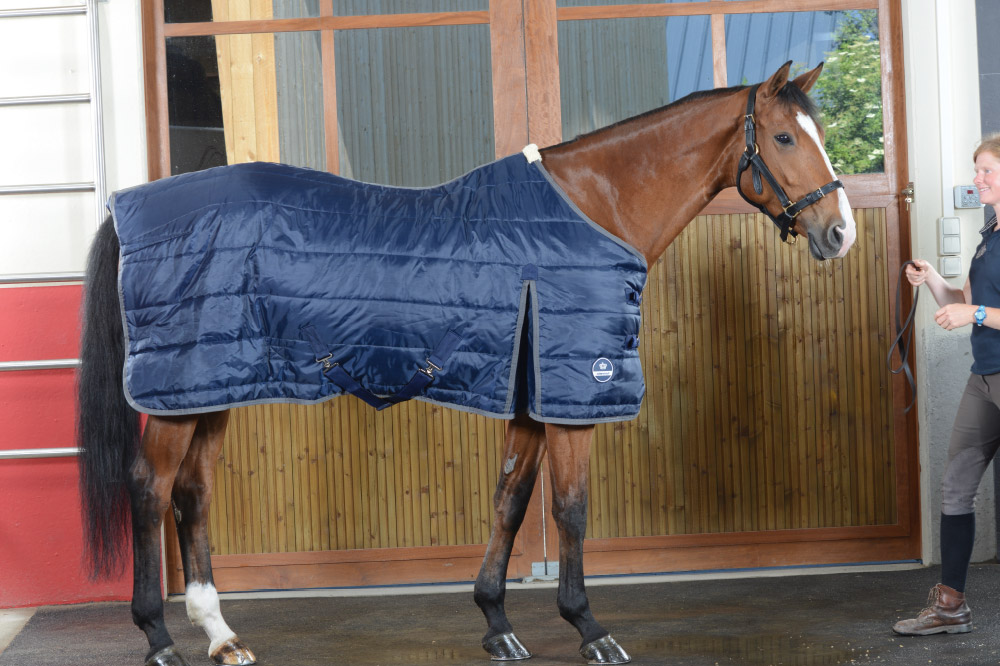 Chemise écurie pour chevaux