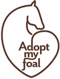 Adopt my foal