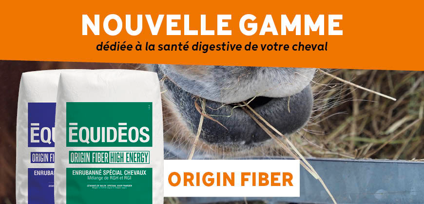 L'enrubanné : découvrez nos différentes solutions pour un apport énergétique adapté ! L'enrubanné : découvrez nos différentes solutions pour un apport énergétique adapté !
