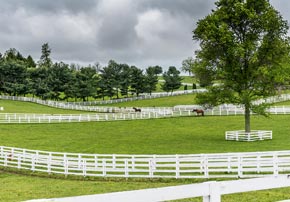 Comment et pourquoi faire analyser le sol de la pâture de son cheval ?