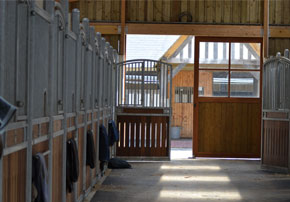 Confort box chevaux