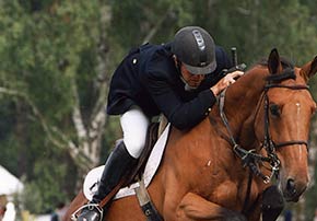 casque chevaux