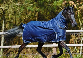 Le choix de couverture de chevaux