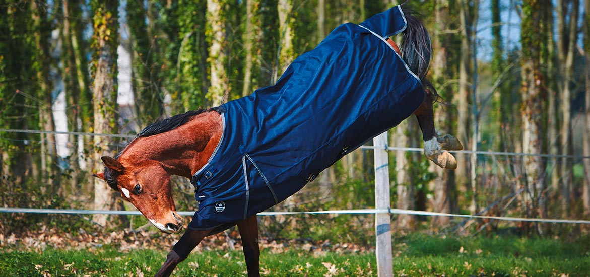 Comment bien choisir sa couverture d’équitation ? Comment bien choisir sa couverture d’équitation ?