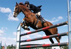 Comment peindre les barres d’obstacles en bois ?