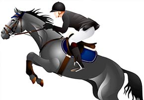 alimentation cheval concours