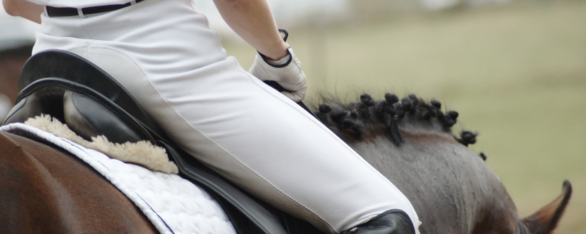 Le cornage : une cause de baisse de performance chez le cheval ? Le cornage : une cause de baisse de performance chez le cheval ?