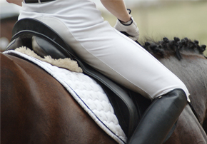 Le cornage : une cause de baisse de performance chez le cheval ?