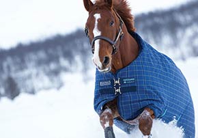 couverture exterieur chevaux