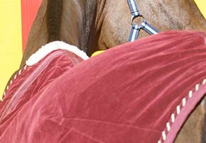 couvertures chevaux