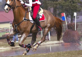 crampons pour chevaux