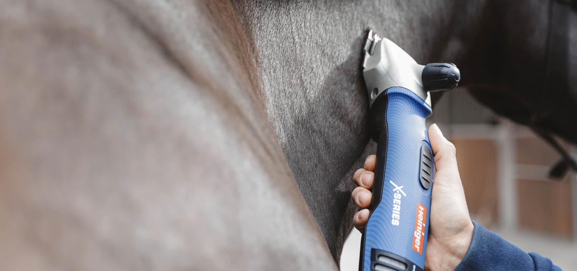Quelle litière choisir pour son cheval ? Quelle litière choisir pour son cheval ?