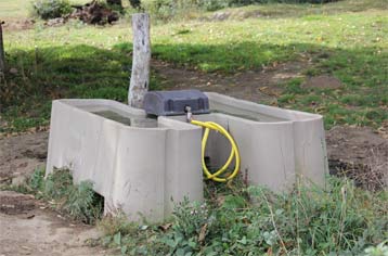 Hydratation des chevaux