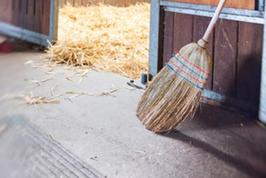 préparer la rentree de votre cheval