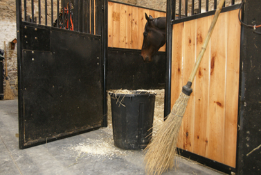 Comment choisir sa litière pour son cheval