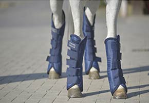 protectrion de transport cheval