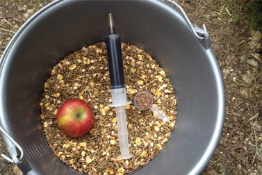 ration de l'alimentation du cheval