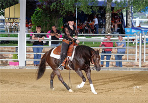 Equipement pour le reining